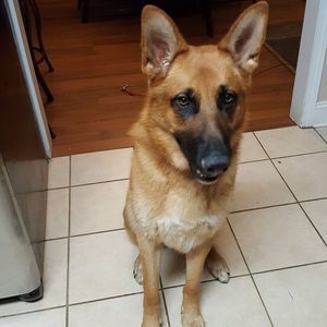 Meet your Posher, Tara